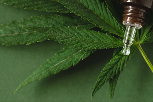 Regelgeving voor medicinale cannabis in Nieuw-Zeeland
