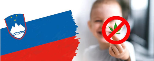 Slovenië verbiedt CBD nadat lokale producenten kinderen vergiftigen