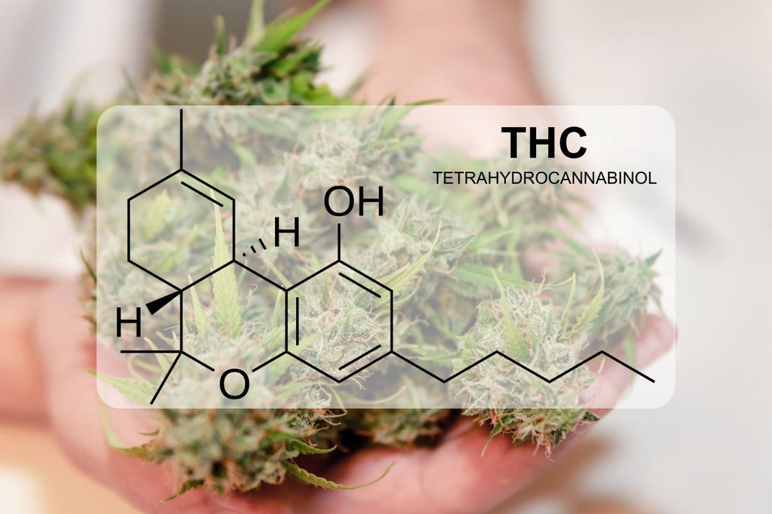 Wat is THC (Tetrahydrocannabinol)?