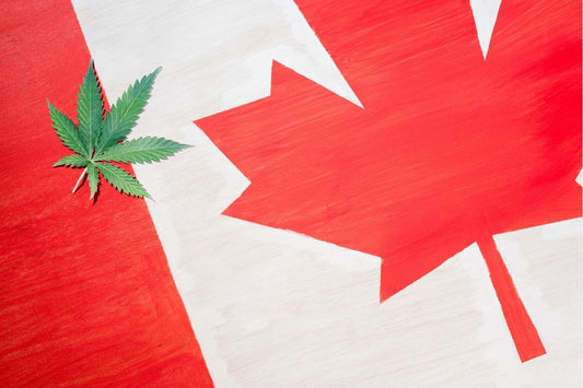Cannabisblad op Canadese vlag