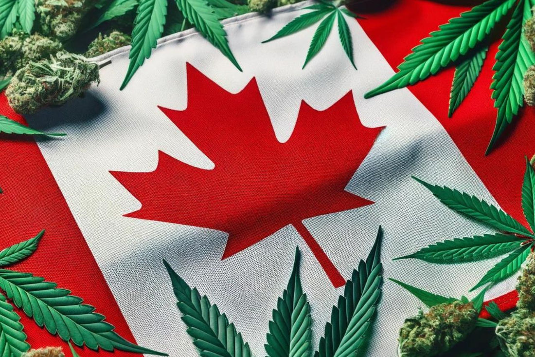Canadese vlag en cannabisbladeren