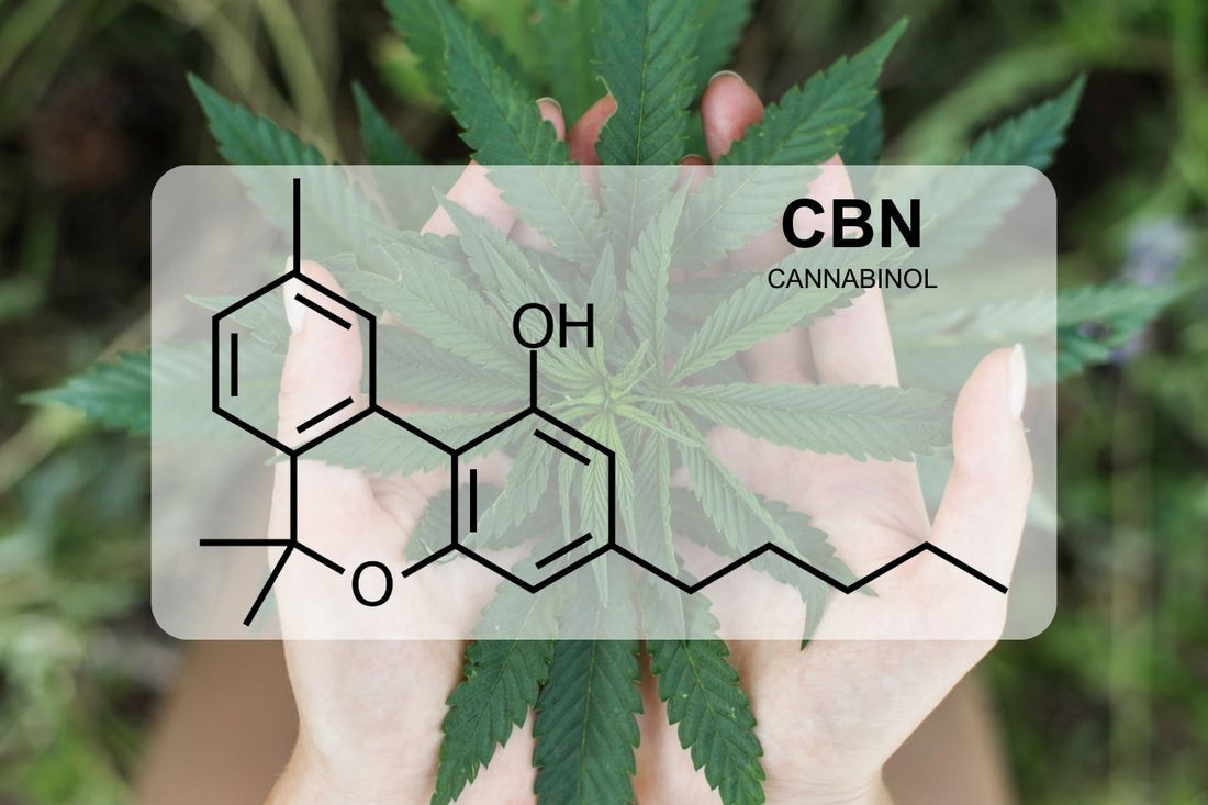 Wat is CBN (cannabinol)?