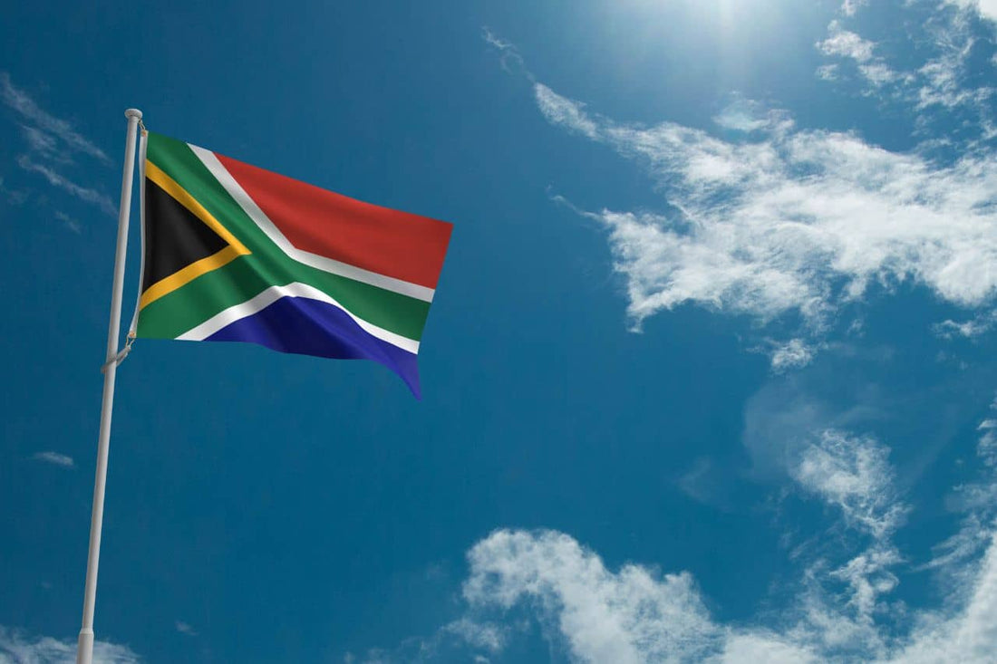 Vlag van Afrika die wappert