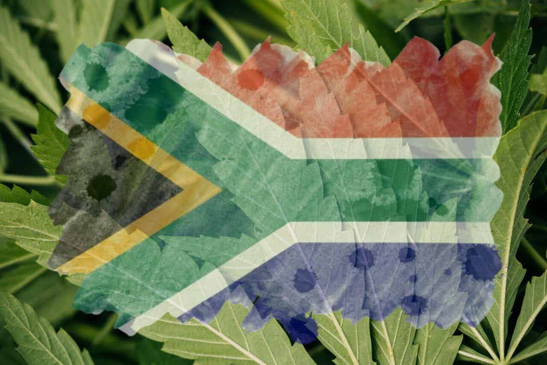 Afrikaanse vlag en cannabisblad 