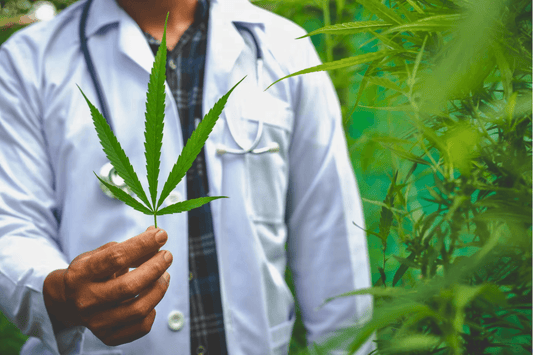 Zürich lanceert "Züri Can" Cannabis Studie: Een stap naar een modern drugsbeleid