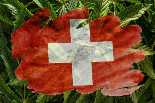 Zwitserse vlag met cannabisplant op de achtergrond