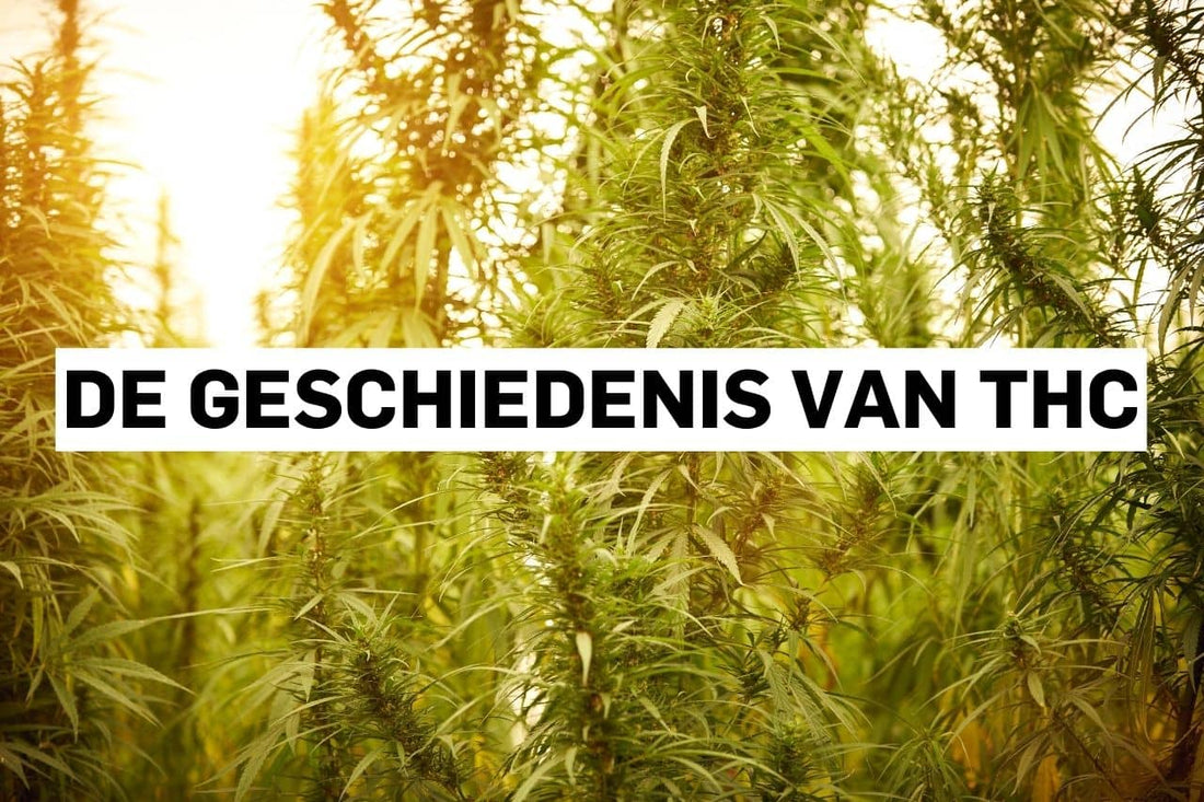 De geschiedenis van THC