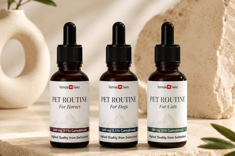 Pet Routine CBD-oliën van Formula Swiss voor paarden, honden en katten op een stenen ondergrond