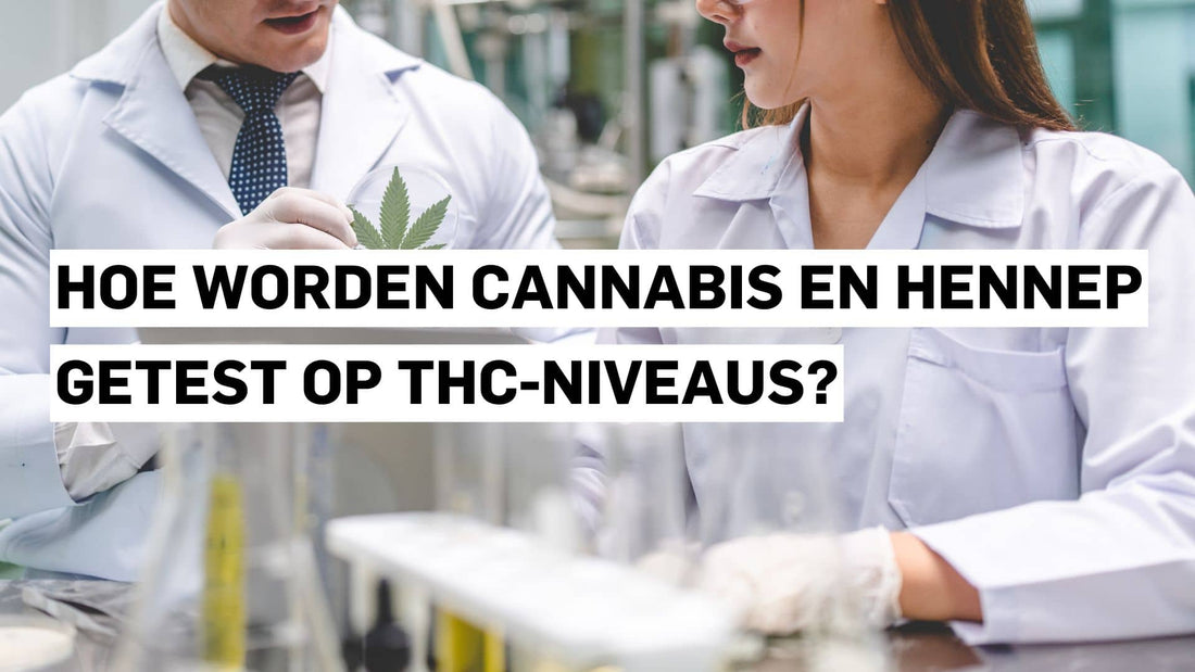 Hoe worden cannabis en hennep getest op THC-niveaus?