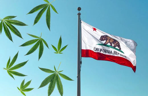 Sventola la bandiera della California e foglie di cannabis