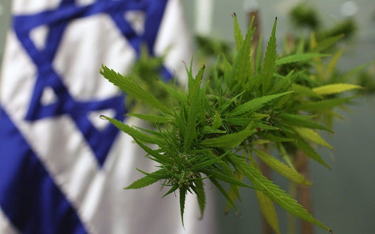 Nieuwe regels voor medische cannabis in Israël