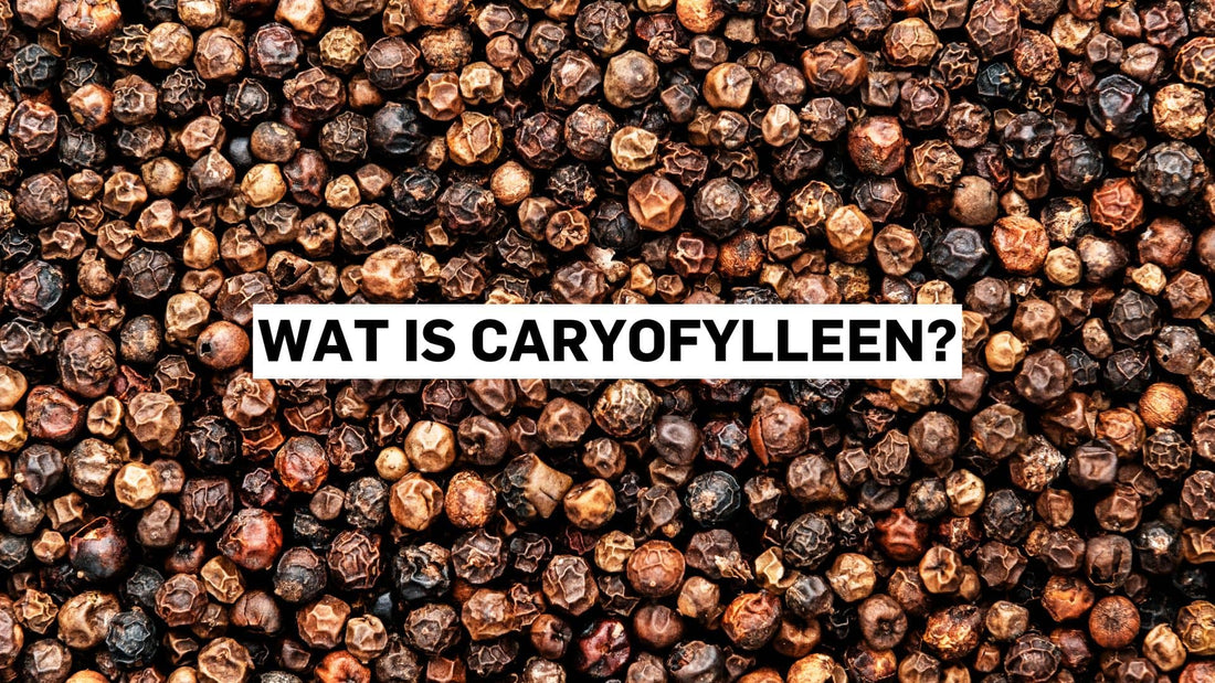 Wat is caryofylleen?