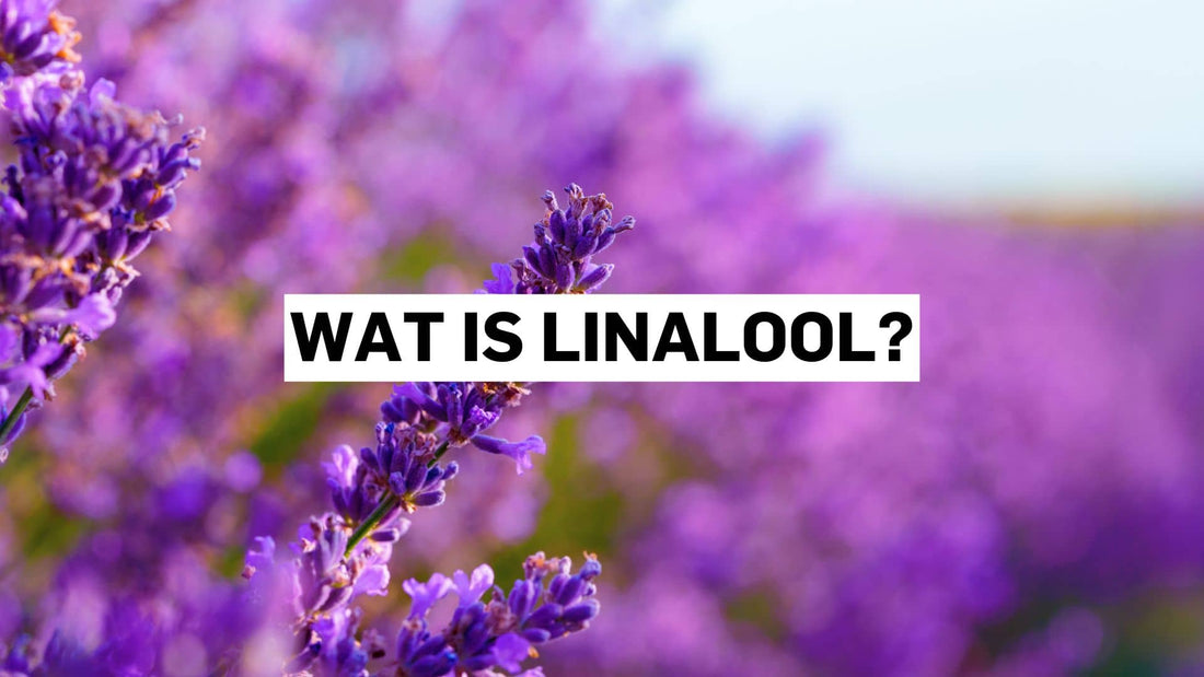 Wat is linalool?