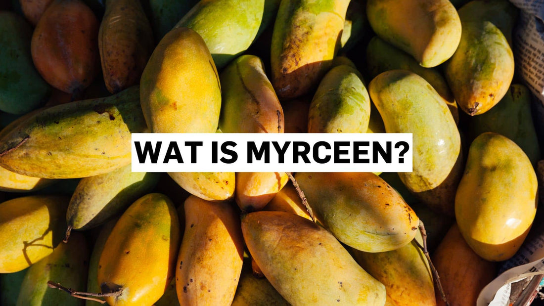 Wat is myrceen?