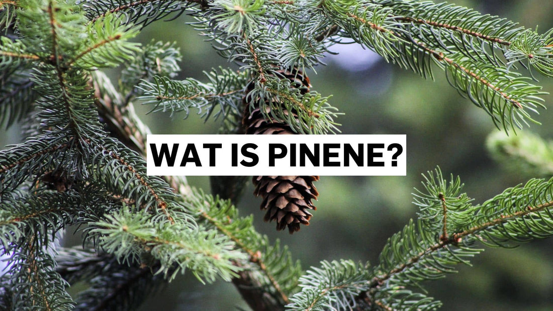 Wat is pinene?