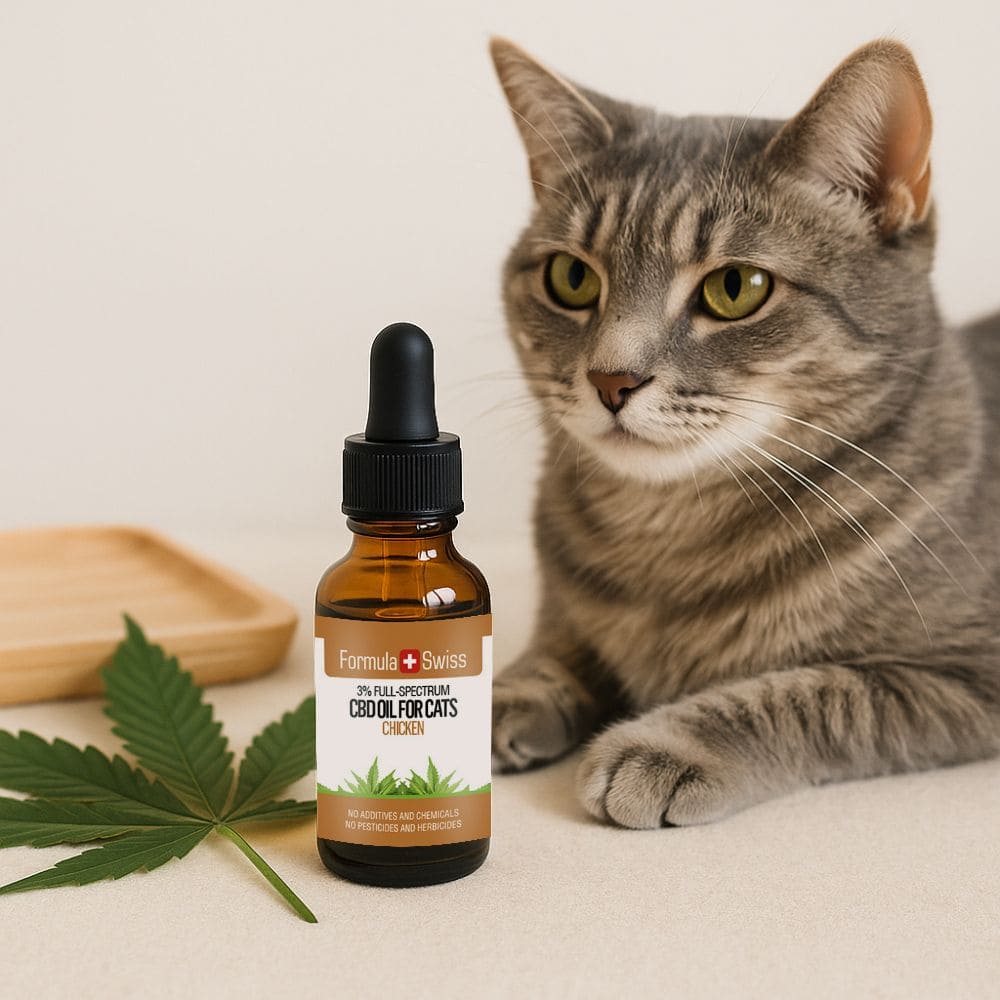 CBD olie voor katten kip