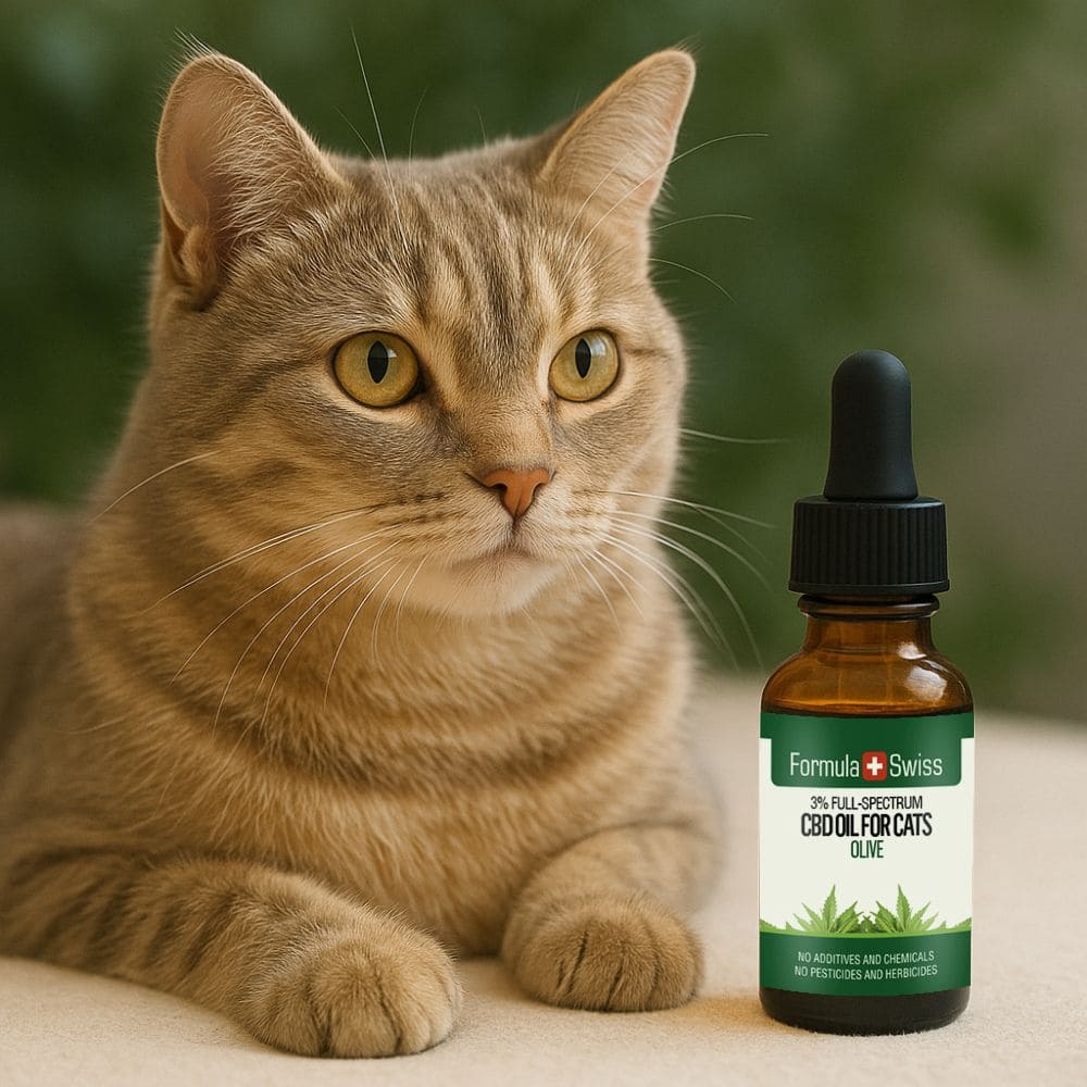CBD olie voor katten olijf