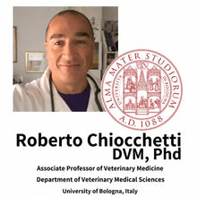 Professor Roberto Chiocchetti van de Universiteit van Bologna